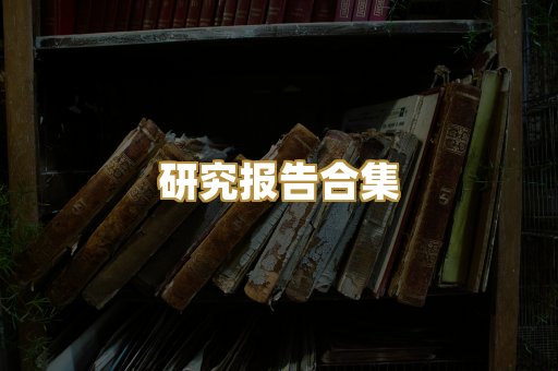研究报告合集